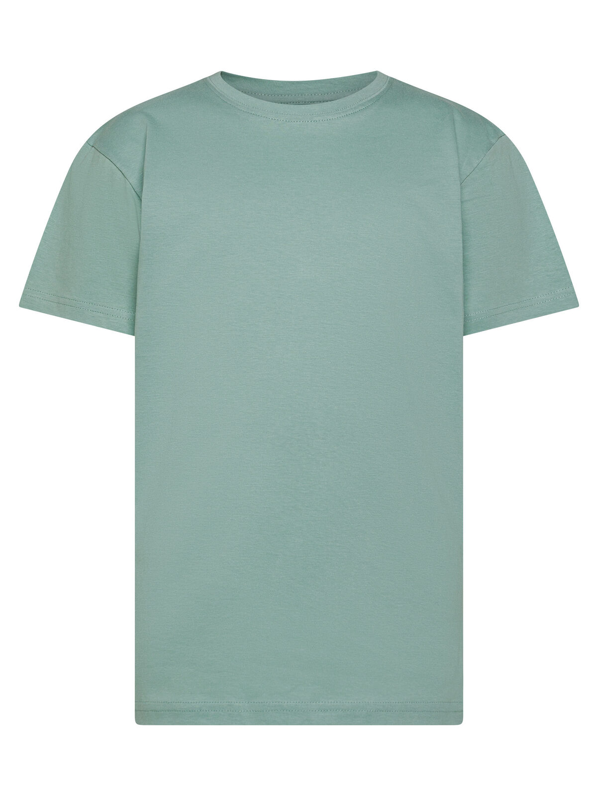 Evolution T-Shirt für Kinder - SA - Sage
