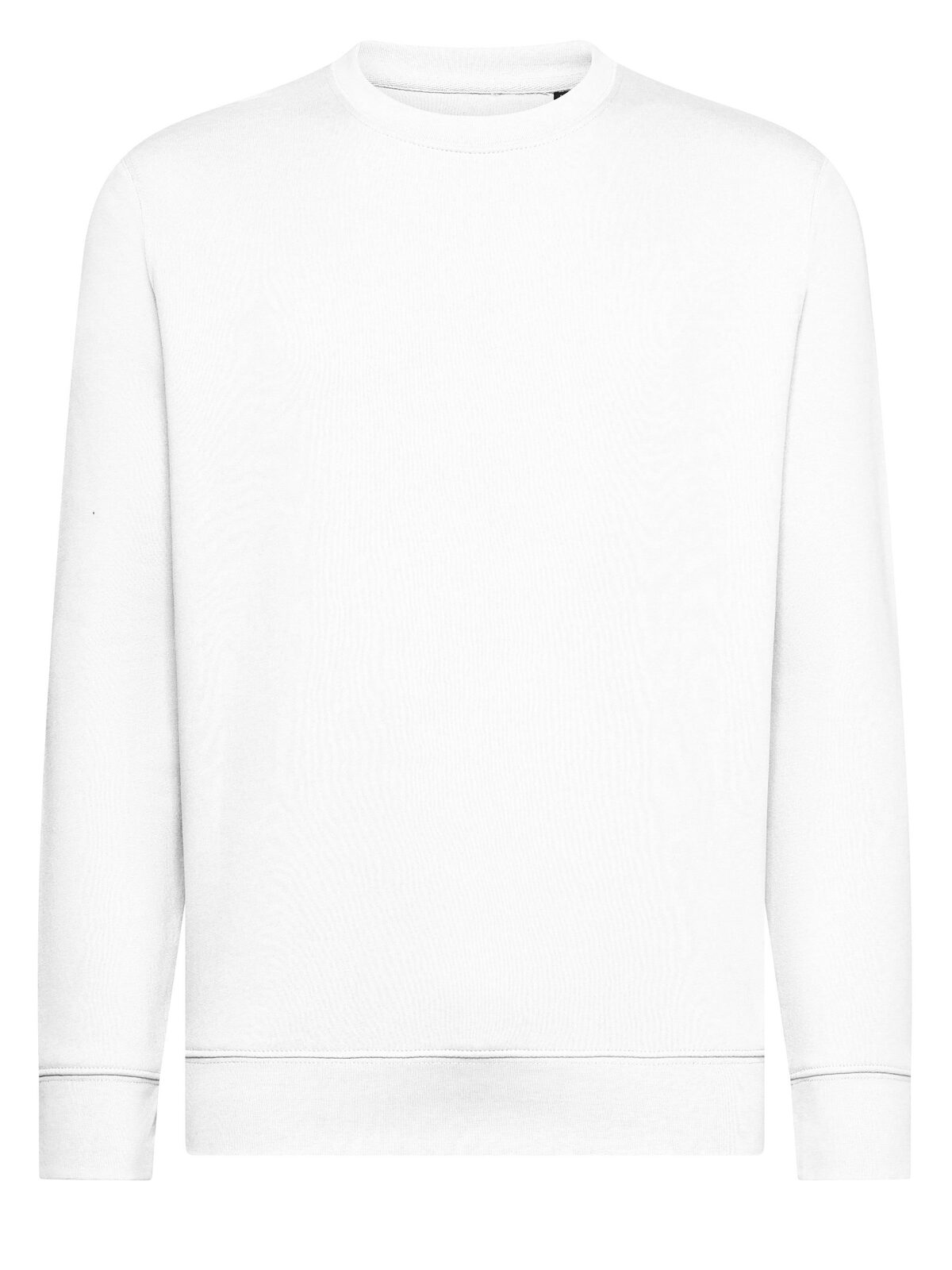 Ingwer - WH - WH-WHITE