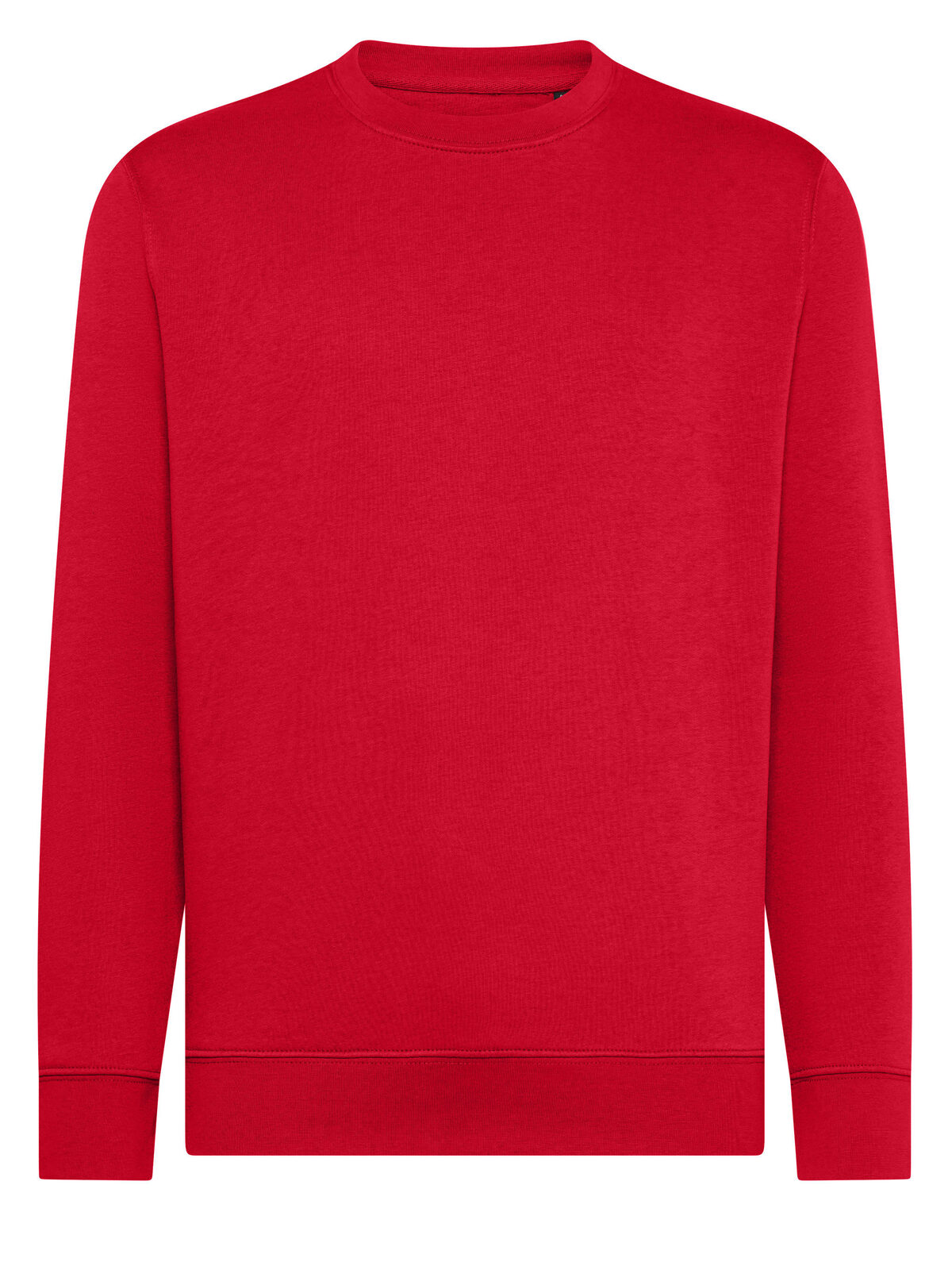 Ingwer - RD - RD-RED